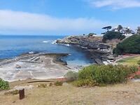 Hermanus