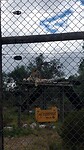 Cat sanctuary
