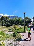 Cape Town