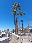 Cape Town