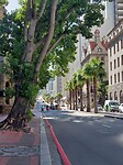 Cape Town