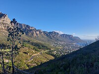Lions head