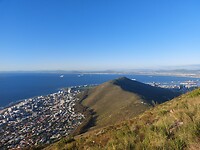 Lions head