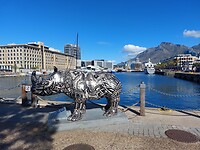 Cape Town