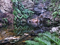 Waterval op t terein van t hostel