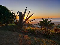 Jeffreys bay