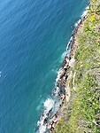 Seals @ Robberg Nature Reserve