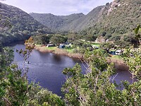 Wilderness