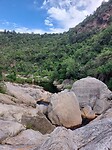 Wilderness