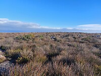 Bovenkant tafelberg
