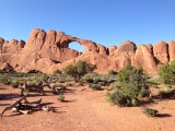 Arches