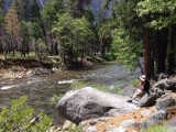Yosemity