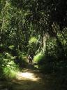 Trekking in Khao Sok national park