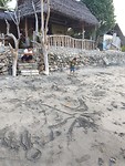 20190516_172640