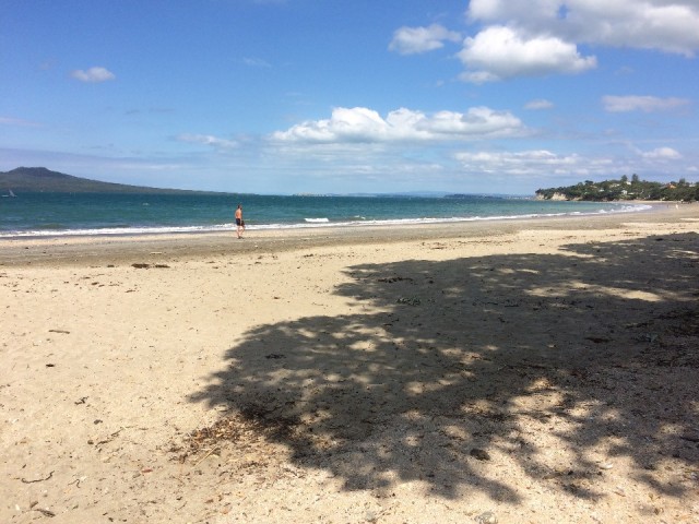 Takapuna beach