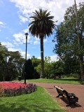 Albert park