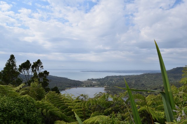 Uitzicht op Huia Bay