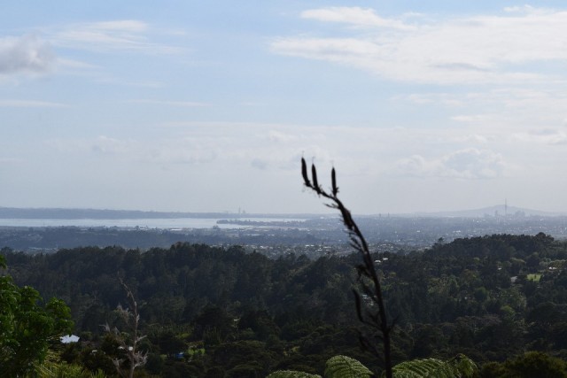 Auckland