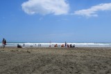 Piha beach