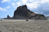 Lion Rock @ Piha beach