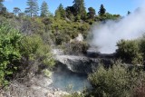 Whakarewarewa