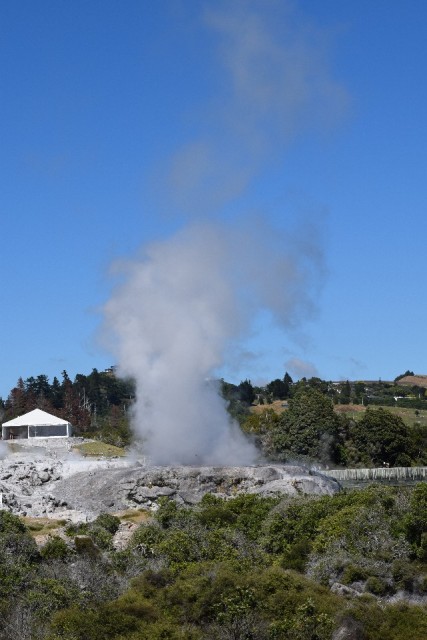 Whakarewarewa, geiser