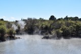 Whakarewarewa
