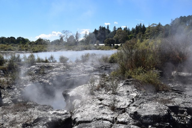 Whakarewarewa