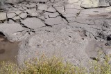 Whakarewarewa, mudpool