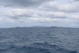Seafaris