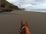 Ruapuke beach