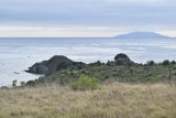 Tiritiri Matangi