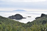 Tiritiri Matangi