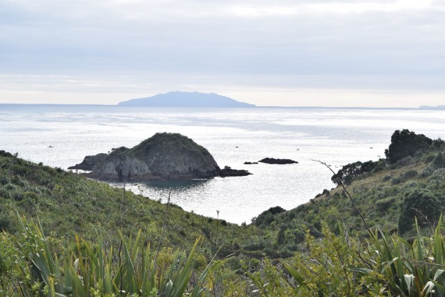Tiritiri Matangi