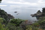 Tiritiri Matangi