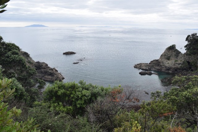 Tiritiri Matangi