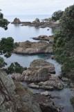 Tiritiri Matangi