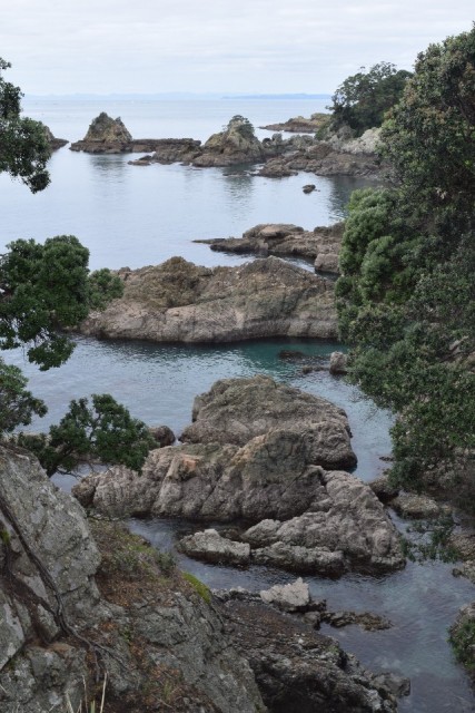 Tiritiri Matangi