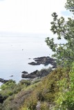 Tiritiri Matangi