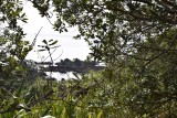 Tiritiri Matangi