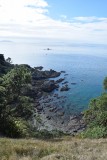 Tiritiri Matangi