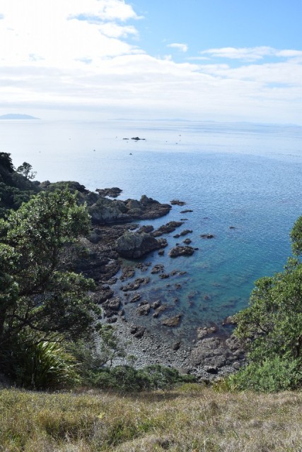 Tiritiri Matangi
