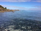 Tiritiri Matangi