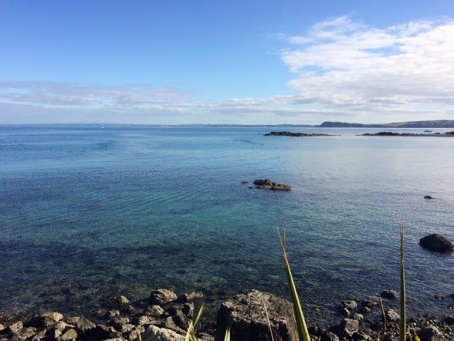 Tiritiri Matangi