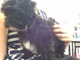 Charly!