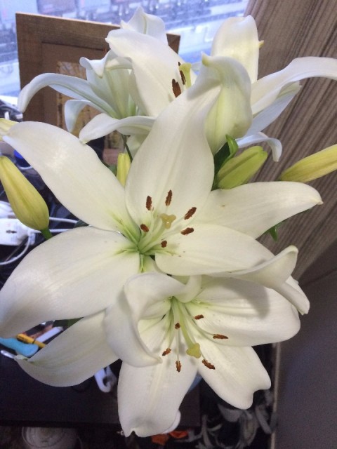 Mezelf op bloemen getrakteerd, met al dat shitweer buiten toch nog een beetje warmte binnen :)