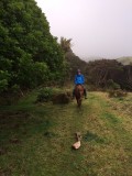 Sander te paard :)