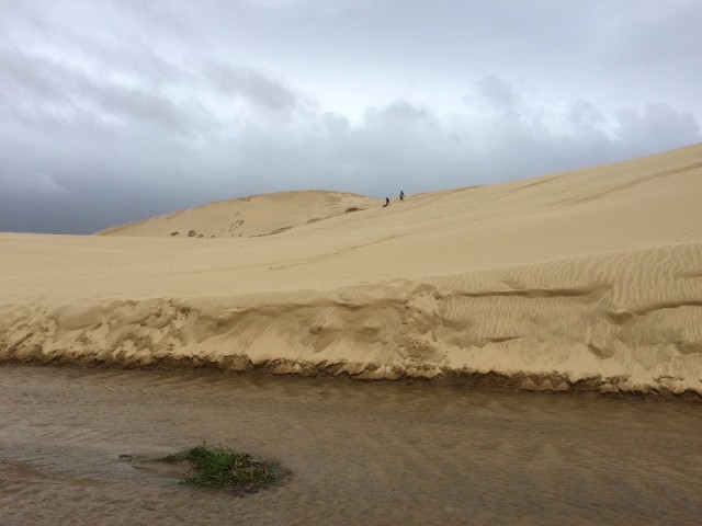 Te Paki Sand Dunes