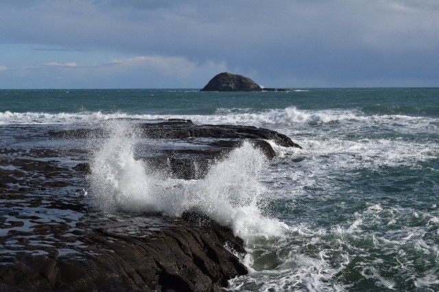 Muriwai