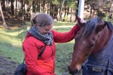 Pony!